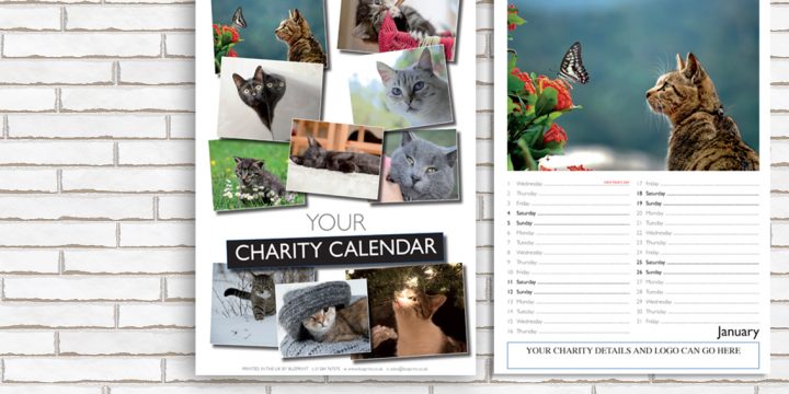 Charity Fundraising Calendar