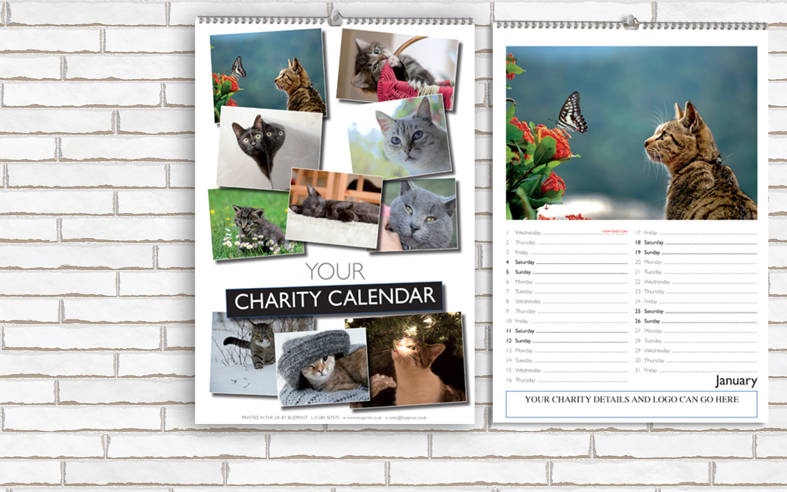 Charity Fundraising Calendar